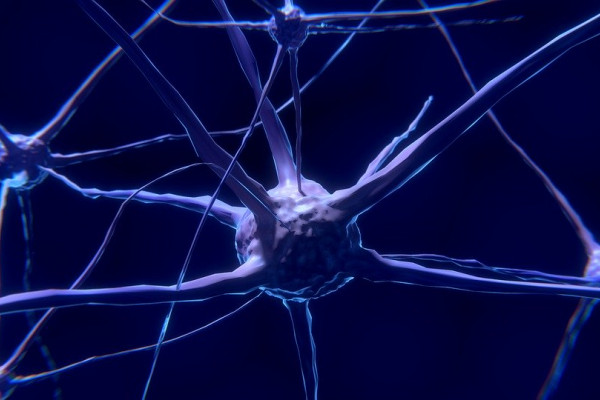 A CGI image of a neuron, coloured purple