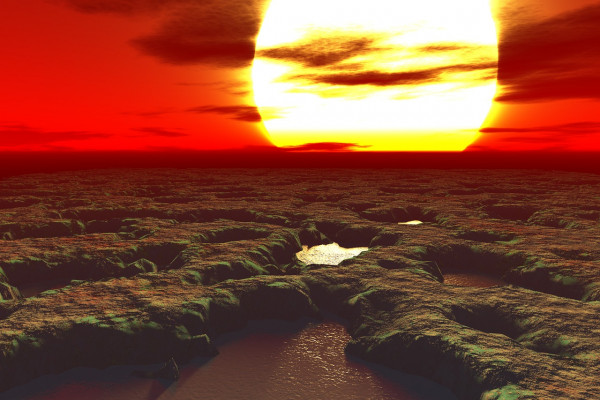 The sun setting over an alien-looking swampy landscape.