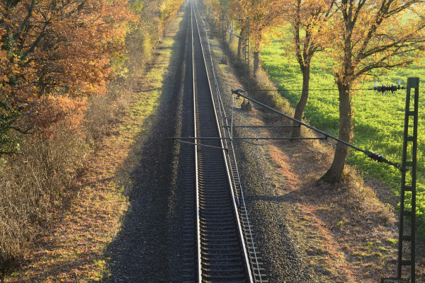 image of a train track with trees either side
