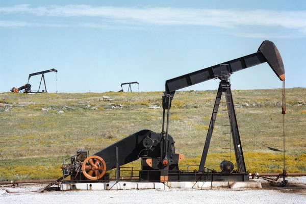A field of oil pumpjacks.