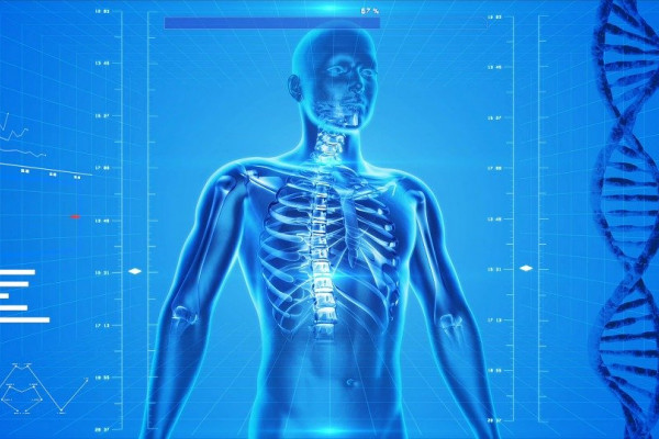 A blue CGI image of a body, showing the skeleton