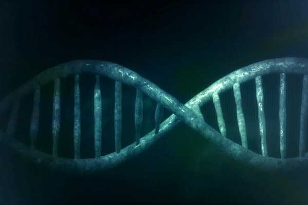 CGI images of DNA double helix