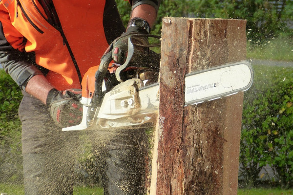 Someone using a chainsaw to cut through a tree stump.