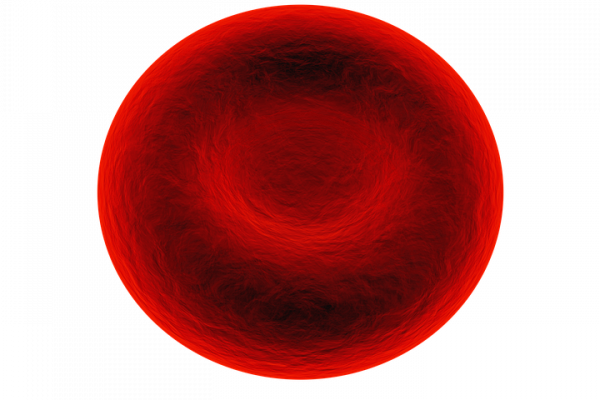 A computer generated image of a red blood cell