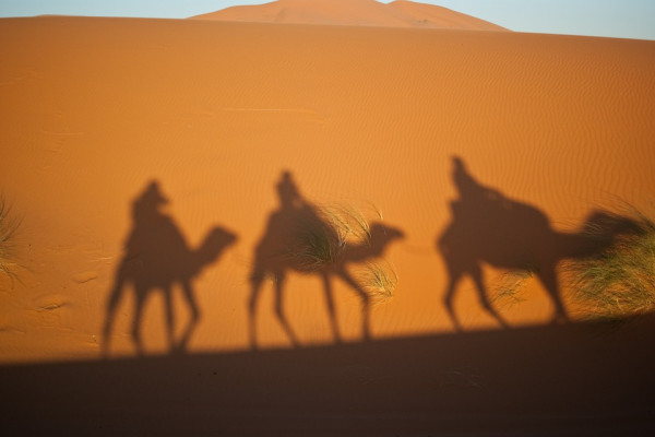 Camels crossing the desert
