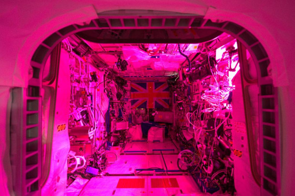 British presence in space