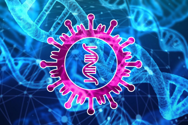 The genome of the coronavirus.