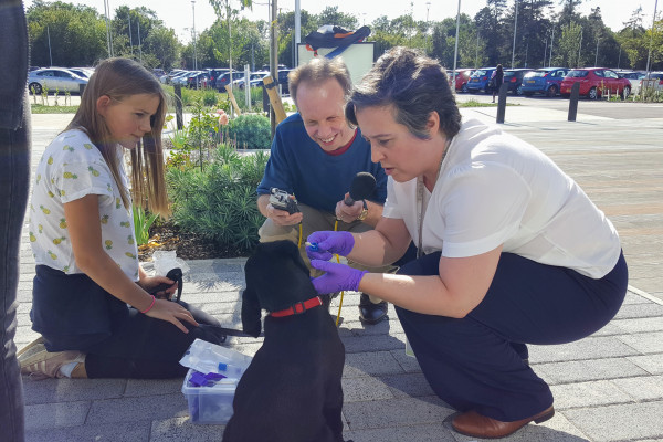 Bruce the puppy has his mouth swabbed outside Illumina.