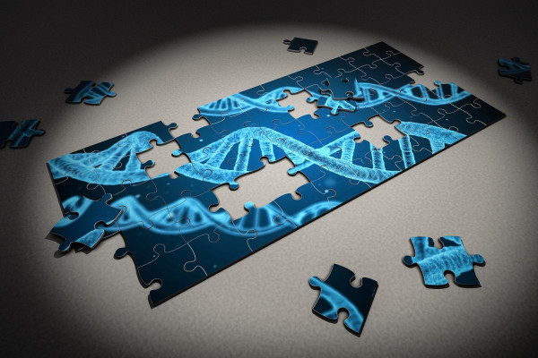 DNA Jigsaw Puzzle