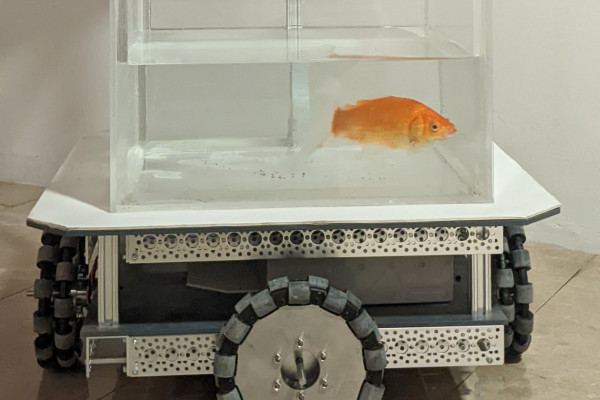 Fish in a tank on wheels