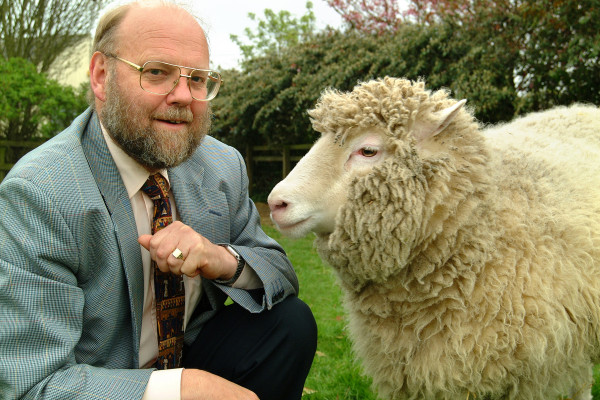 Dolly with Professor Sir Ian Wilmut, who led the research which produced her.