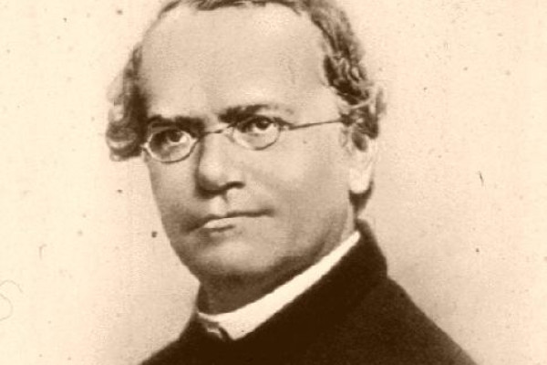 Gregor Mendel, father of genetics