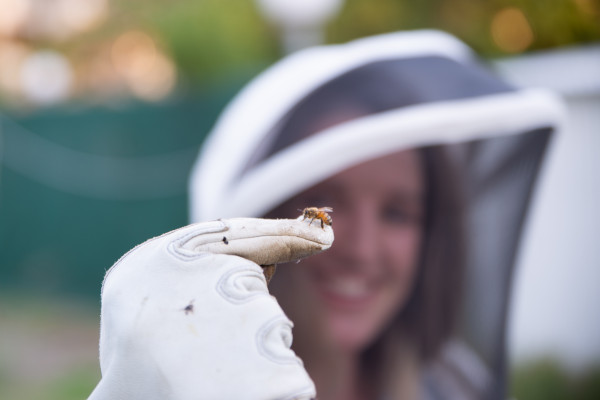 Ciara Duffy with an Australian honeybee