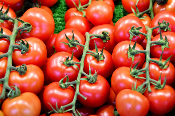 Cherry tomatoes on the vine