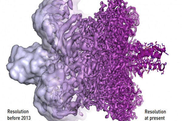 Imaging Biomolecular movement