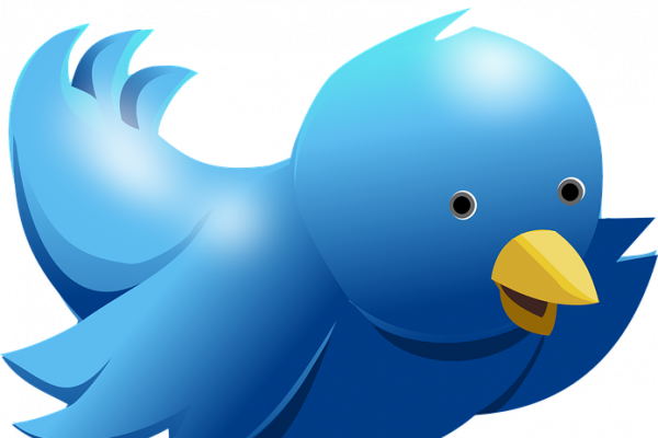 Twitter bird logo