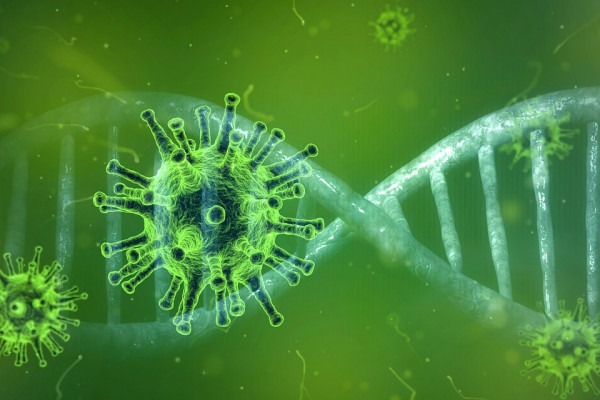 Green coronavirus particles around a strand of DNA.