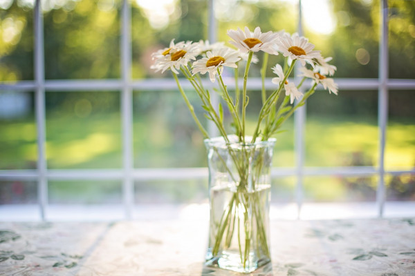 sun shining through a window with flowers in a vase