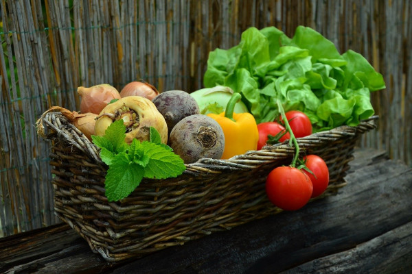 Basket of vegetables