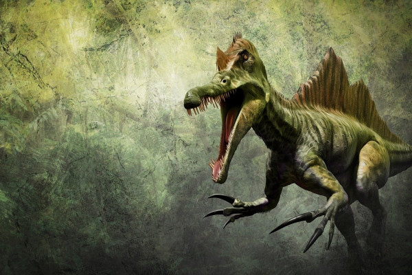 An artist's rendition of a spinosaurus.