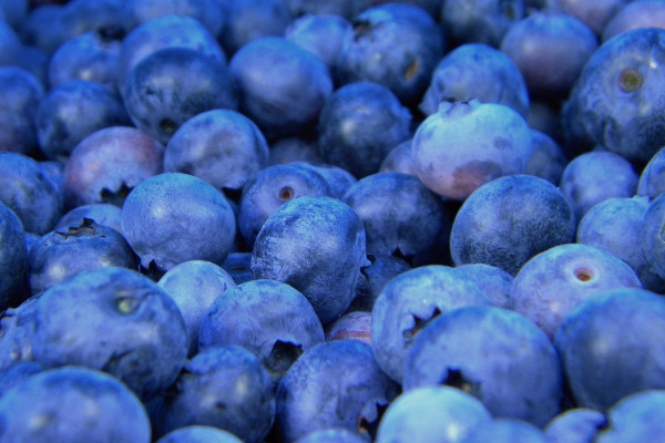 a photo of some blueberries