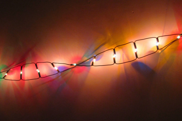 Strand of DNA