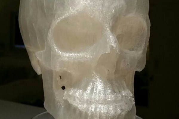 Skull 3d printed in polylactic acid (PLA)