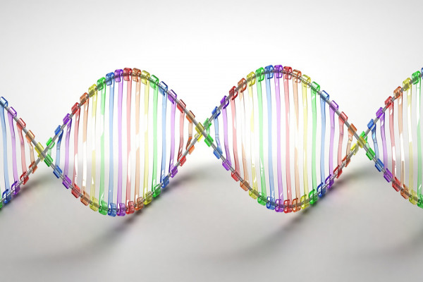 Coloured DNA