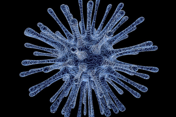 An artistic representation of a virus