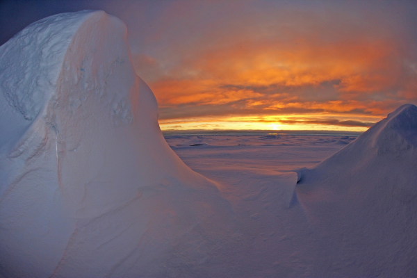 The Arctic Ocean