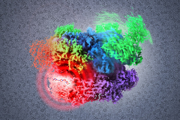 Cancer drug target visualized at atomic resolution