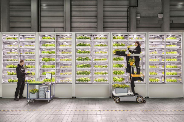 In the future, produce could be grown directly in supermarkets or restaurants.