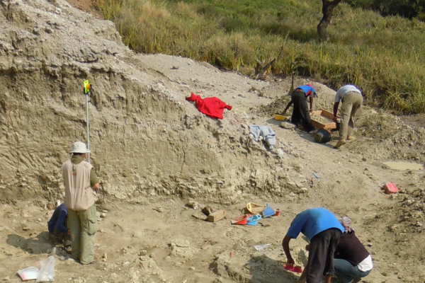 Palaeo-excavation site