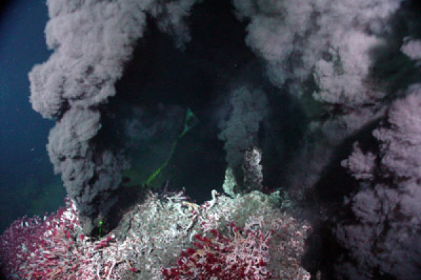 Deep sea hydrothermal vent