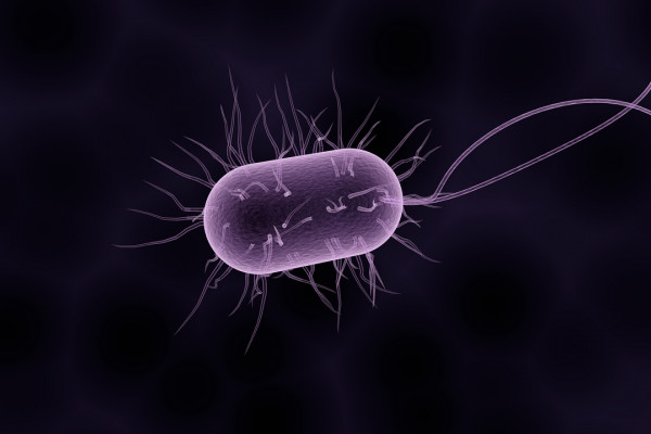 Artist's impression of a bacterium
