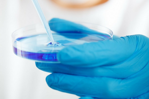 A masked scientist uses a pipette to draw up blue liquid from a petri dish.