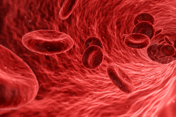 Computer generated image of Red blood cells travelling in a blood vessel