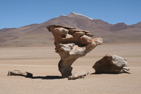 The Atacama Desert