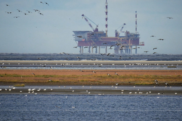 Oil rig on the coastline