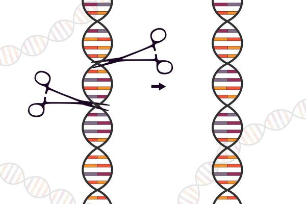 CRISPR Tech