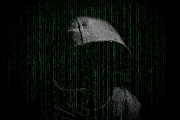 A cyber-criminal