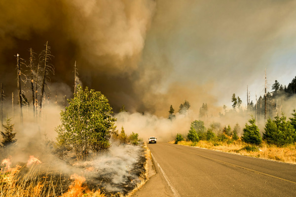 Wildfire on road