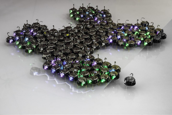 Bio-inspired robot swarms