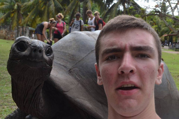 an Aldabra giant tortoise