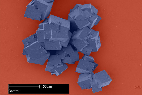 Metal-organic frameworks as seen under an electron microscope are made up of crystals that together shape multi-dimensional structures with vast surface areas. (Colour changed)