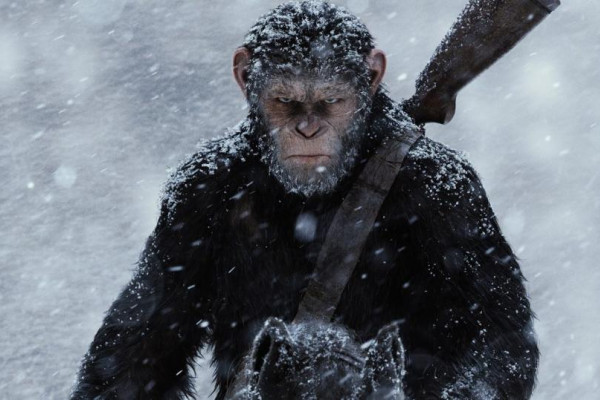 Image from War for the Planet of the Apes