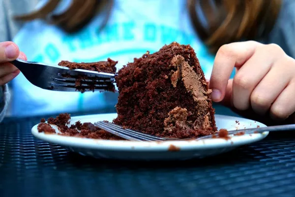 this is a picture of someone eating chocolate cake