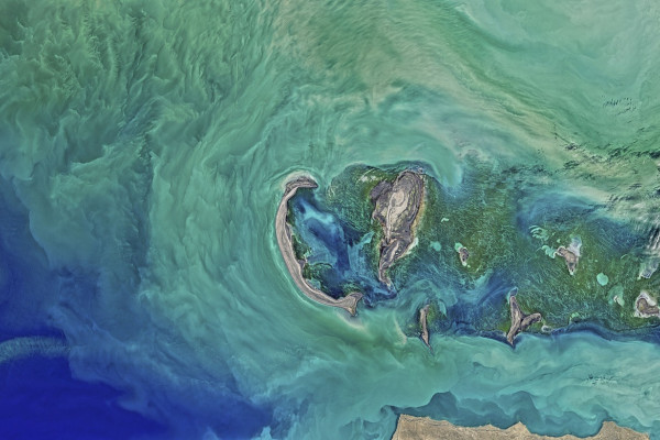 The Caspian Sea from space