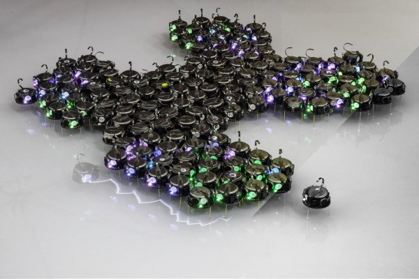 robot swarm