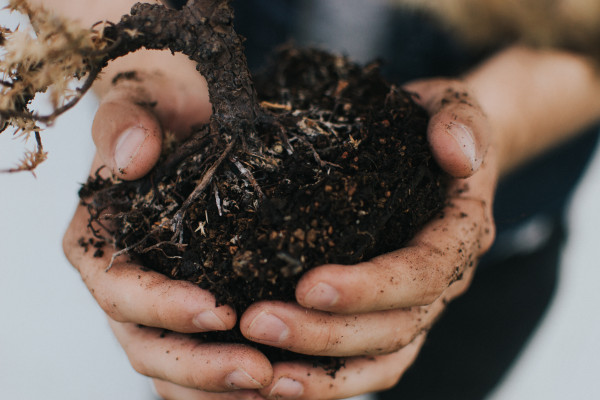 Hands holding soil